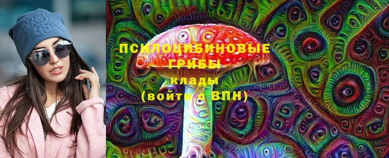 Купить Кашира Амфетамин  Меф мяу мяу  Псилоцибиновые грибы  ГАШИШ  Каннабис  Кокаин 