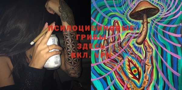 2c-b Михайловка
