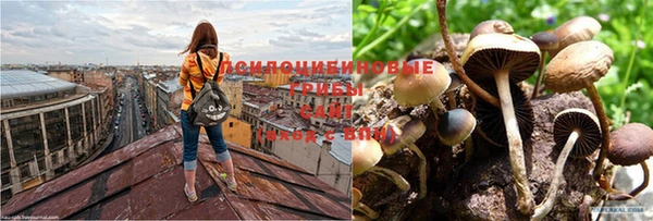 мяу мяу кристалл Михайлов