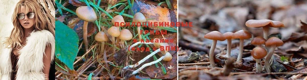 мет Медногорск