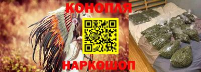 молекула духа Будённовск