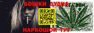 молекула духа Будённовск