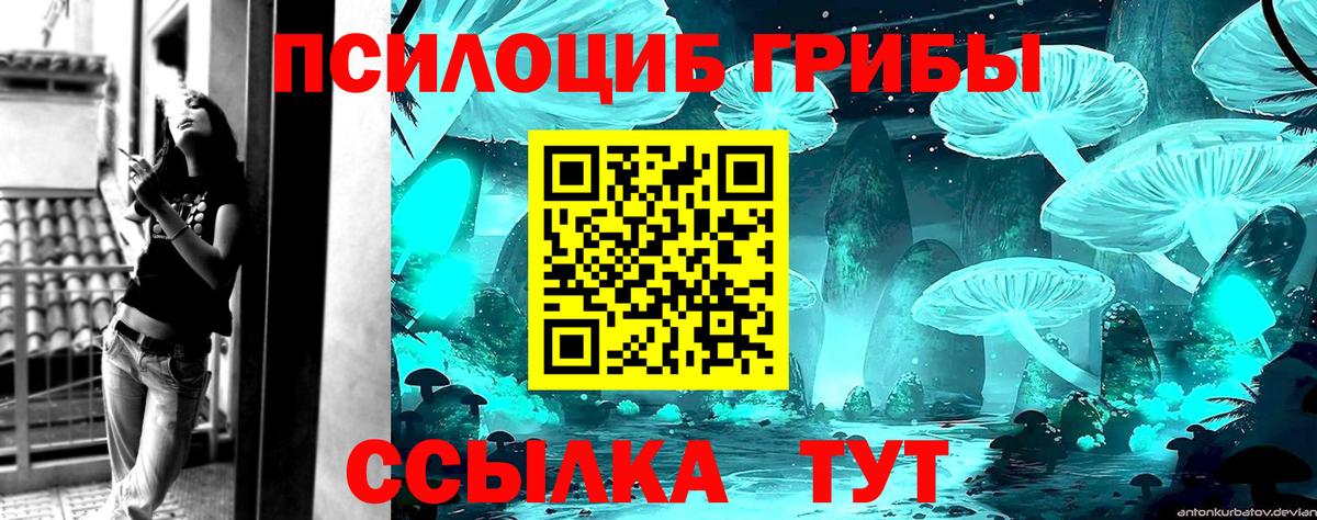 Псилоцибиновые грибы GOLDEN TEACHER Кашира