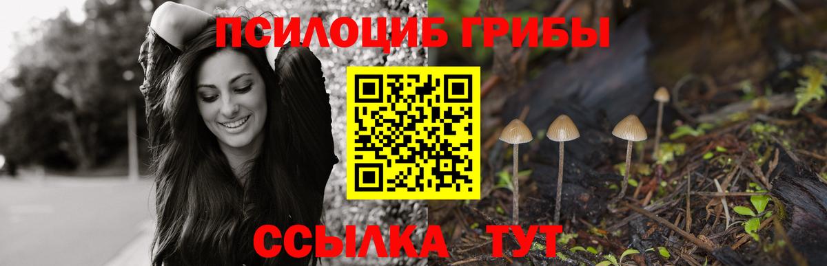 Кашира  Псилоцибиновые грибы Magic Shrooms  Галлюциногенные грибы Cubensis  Вход с VPN 